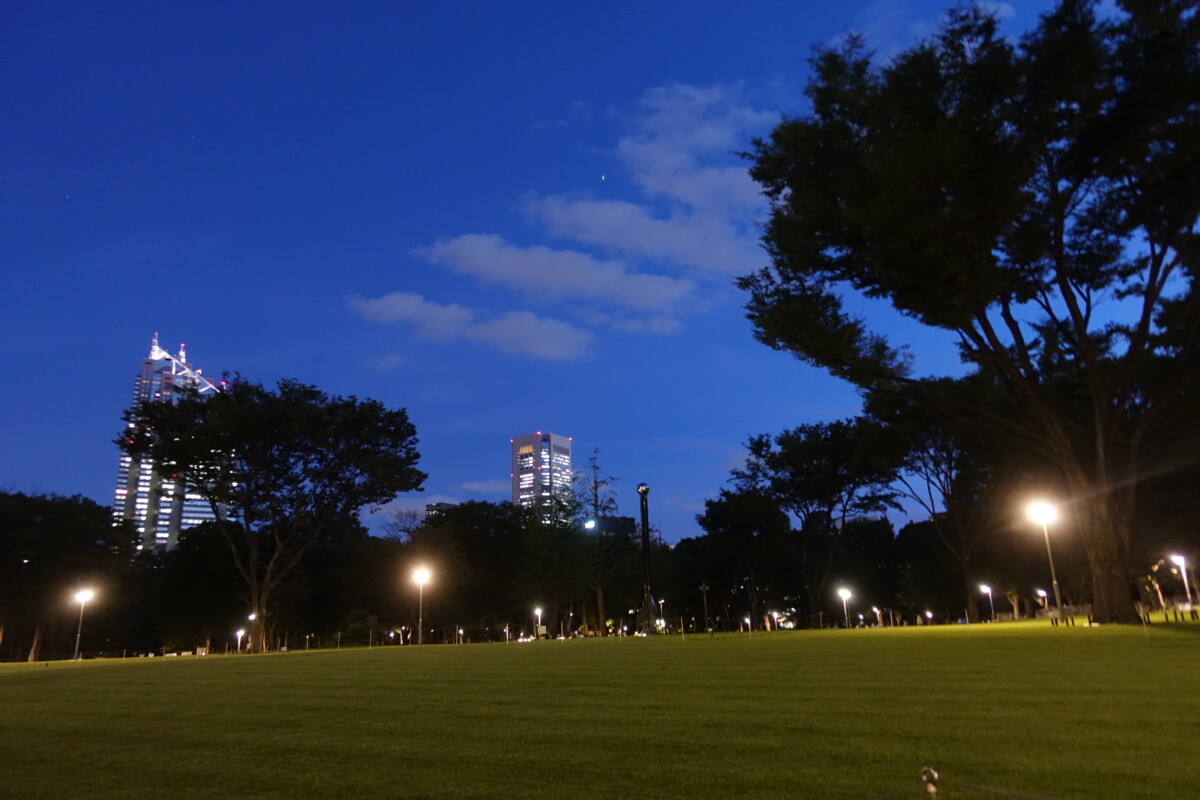 新宿中央公園の芝生広場 一部レジャーシート禁止などの新ルールを適用へ 新宿ニュースblog