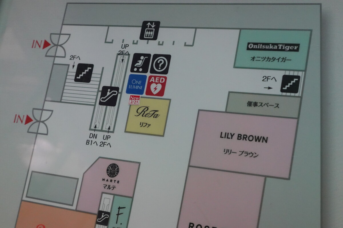 活動歴および当時の関連ビジュアル記録